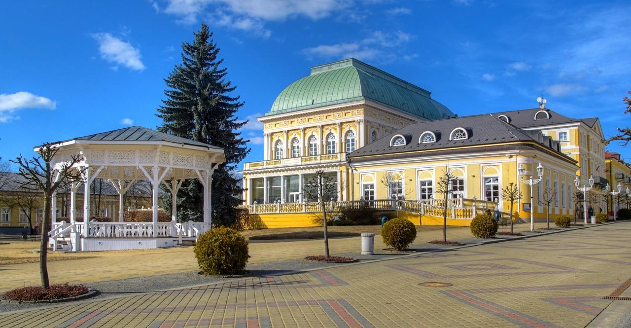 Apartment Pension Stark Františkovy Lázně 외부 사진