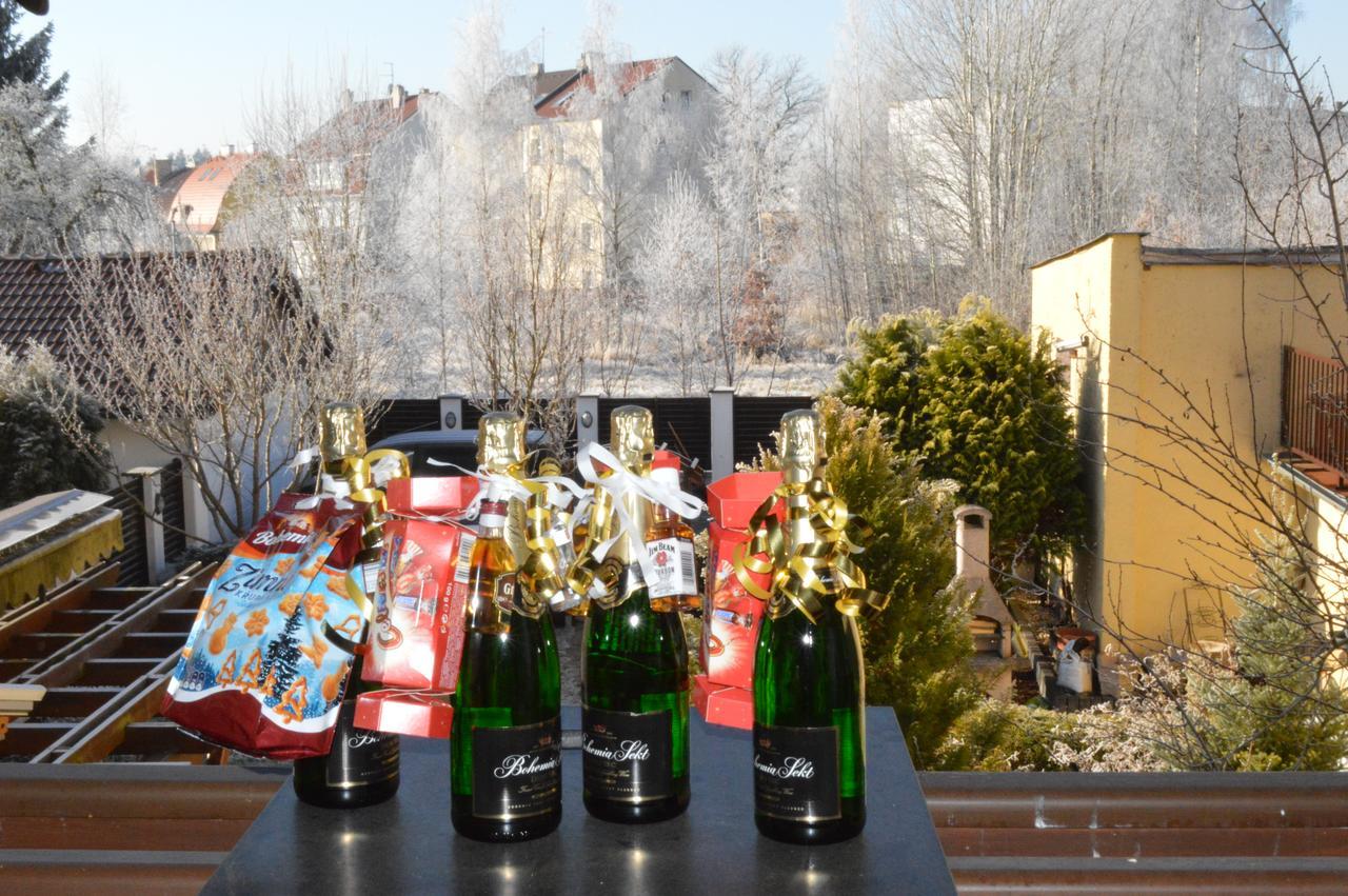 Apartment Pension Stark Františkovy Lázně 외부 사진