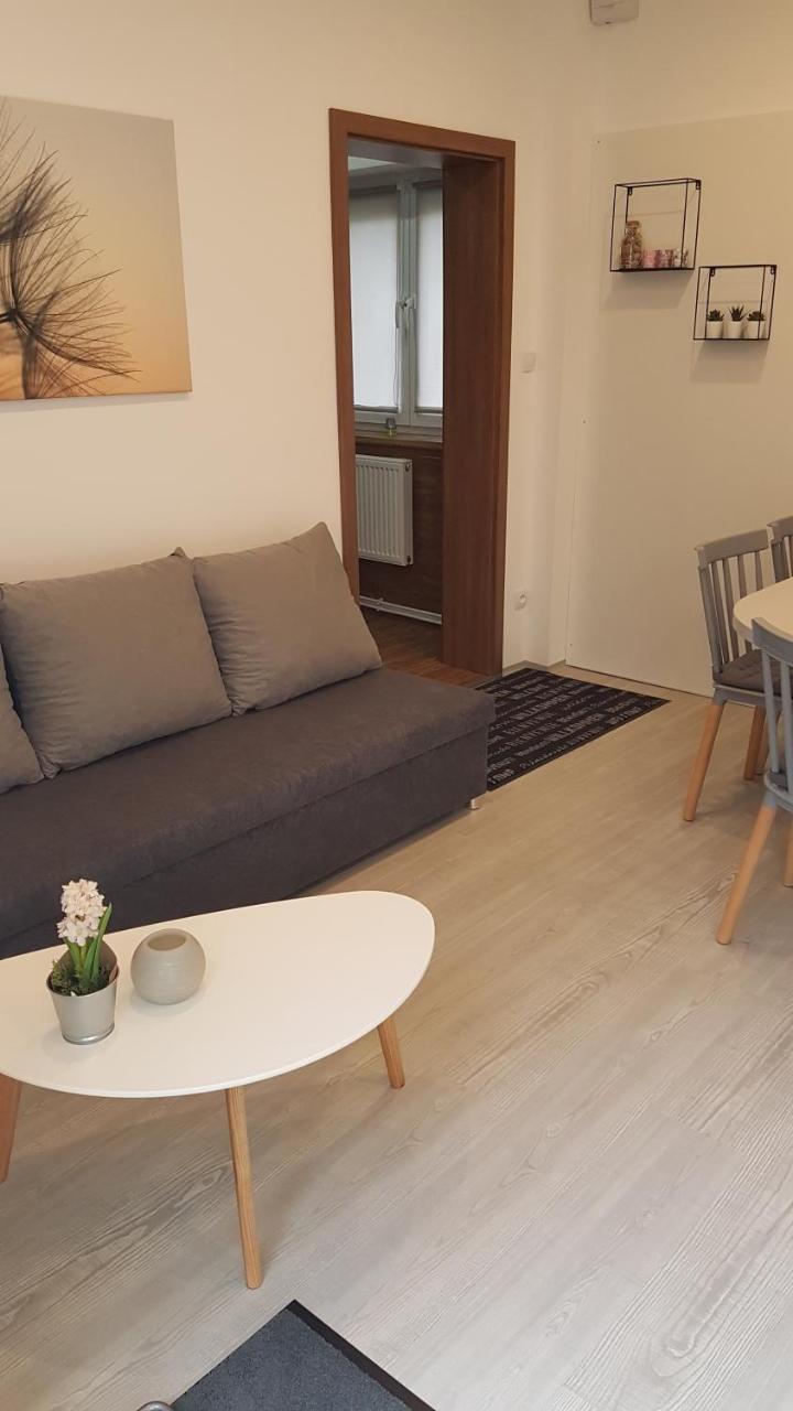 Apartment Pension Stark Františkovy Lázně 외부 사진
